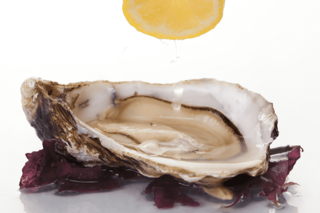 How to Tell if an Oyster is Fresh