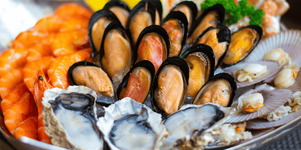 Mussels vs. Oysters